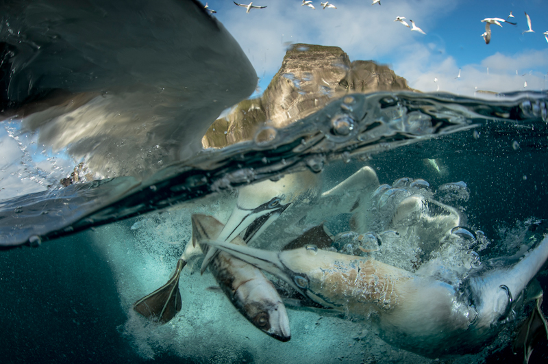 Richard Schucksmith, Competition, BWPA 2015 Competition